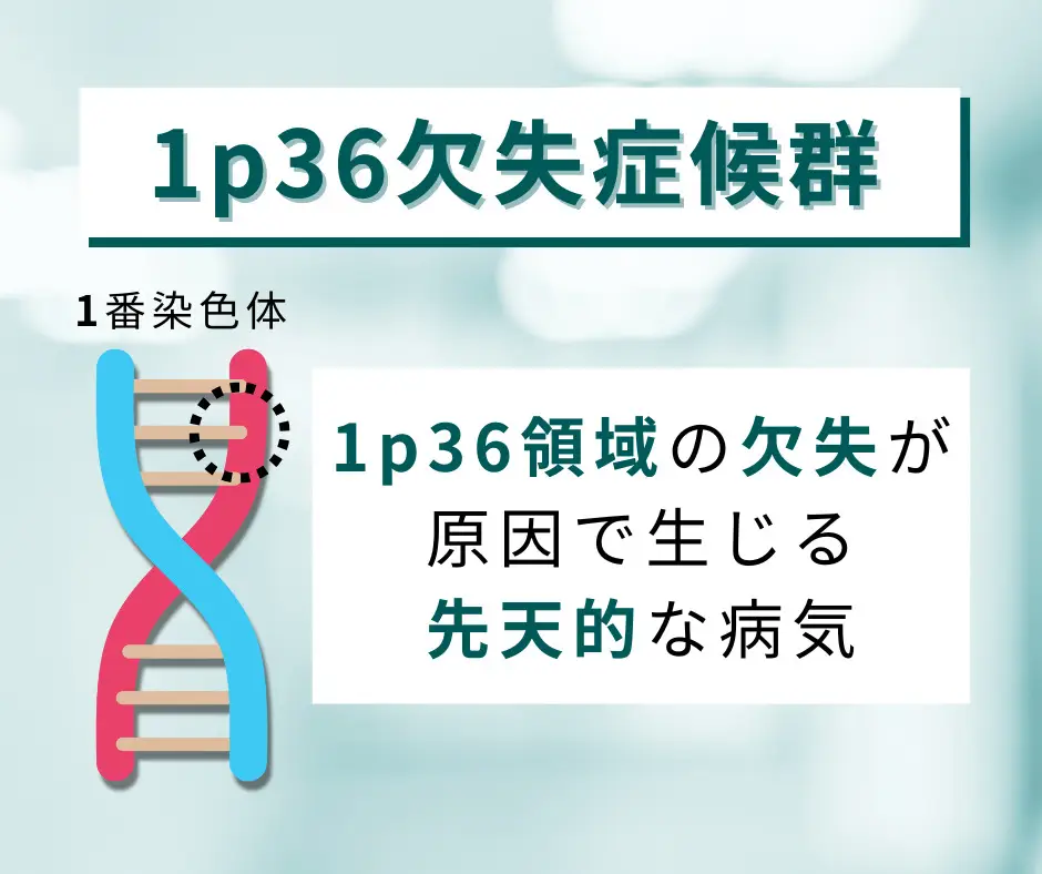 1p36欠失症候群の図