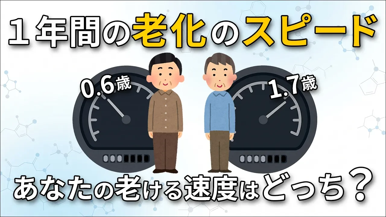 老化スピードの個人差｜生物学的年齢とDNAの関係とは