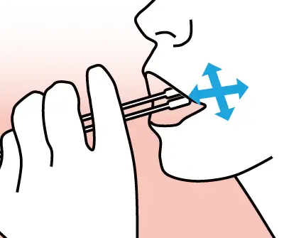 Attaching cells to cotton swab