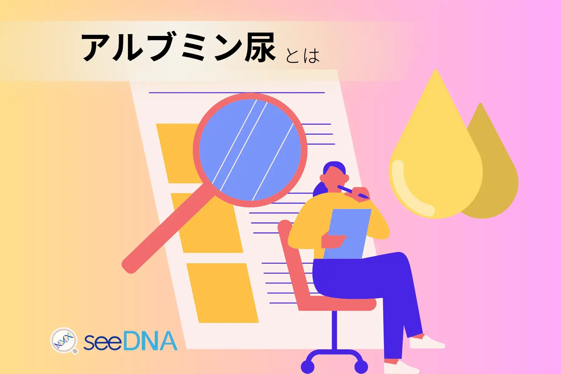 アルブミン尿のイメージ画像