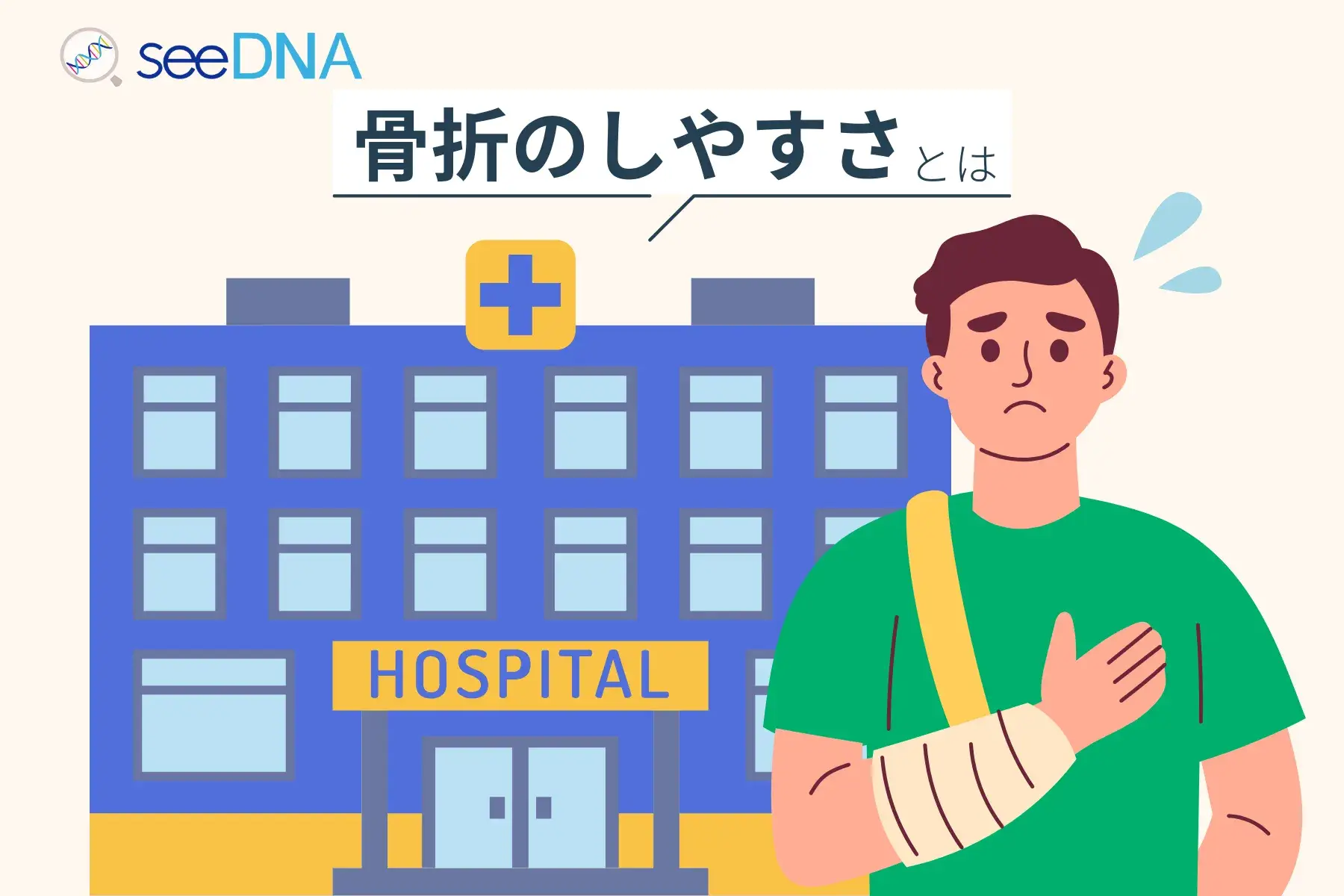 骨折のしやすさのイメージ画像