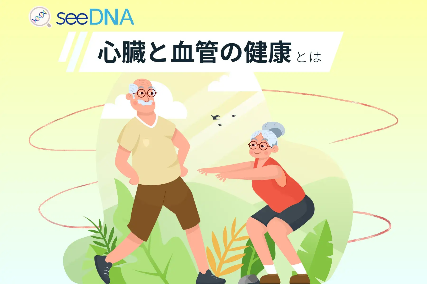 心臓と血管の健康のイメージ画像