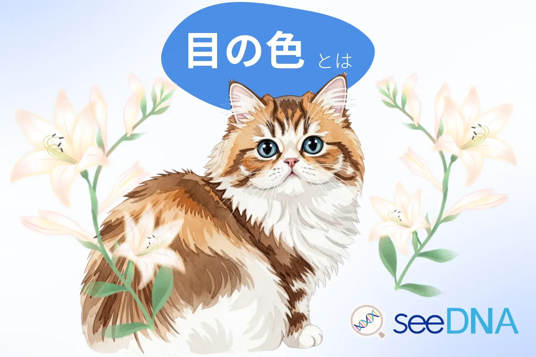image of eye color
