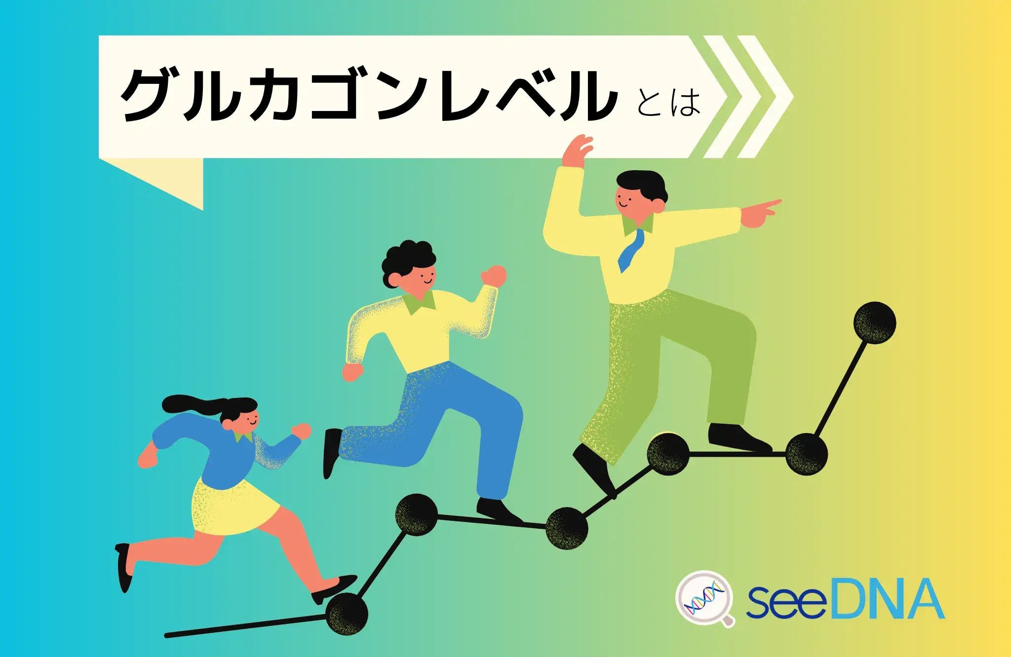 グルカゴンレベルのイメージ画像