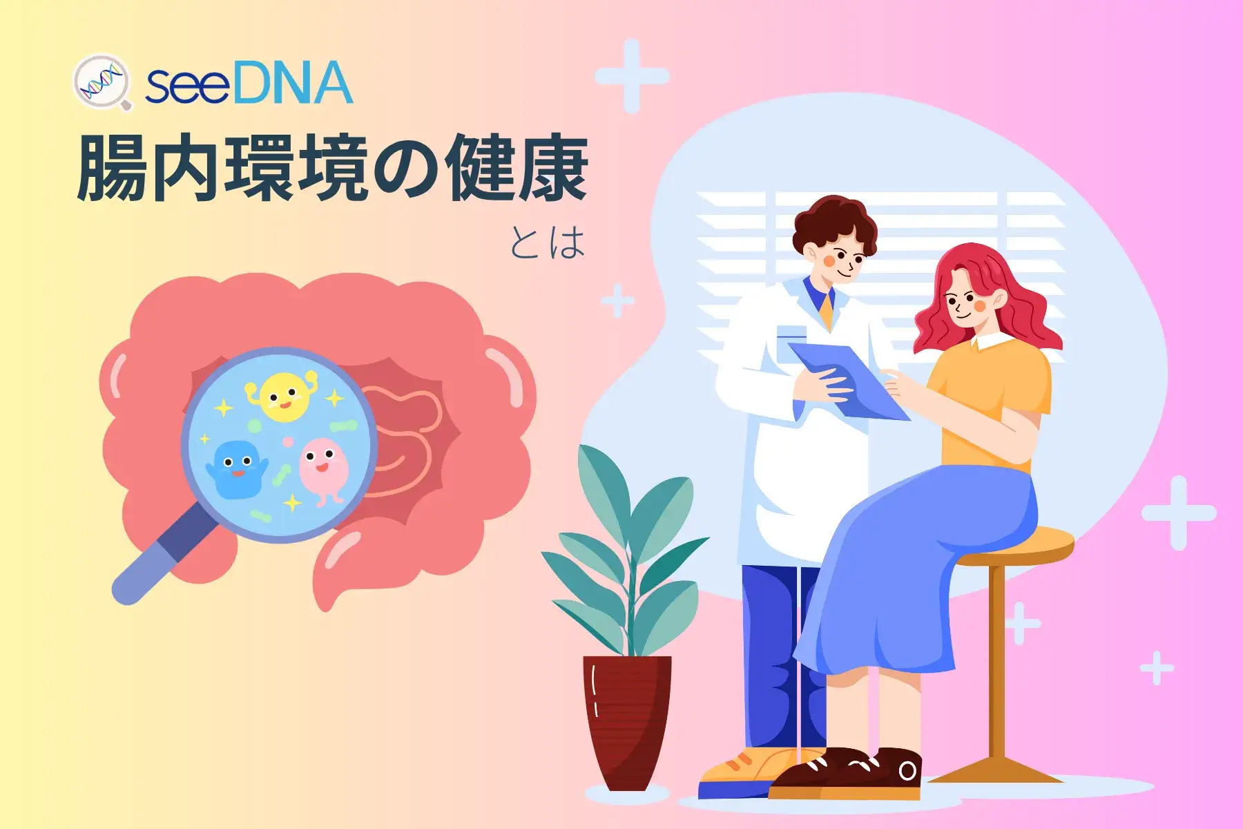 腸内環境の健康のイメージ画像