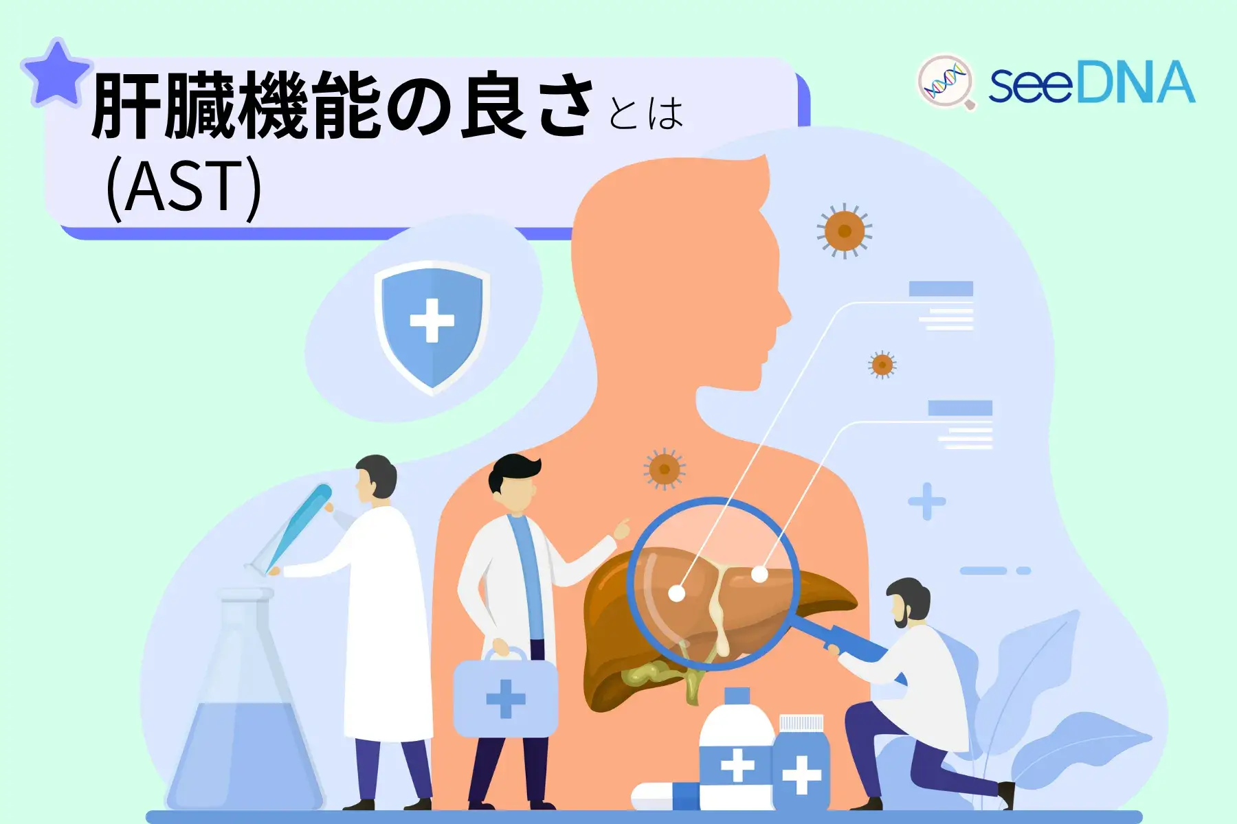 肝臓機能(AST)のイメージ画像