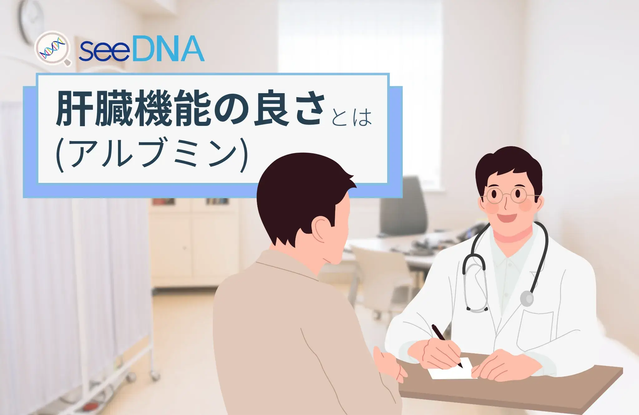 肝臓機能（アルブミン）のイメージ画像