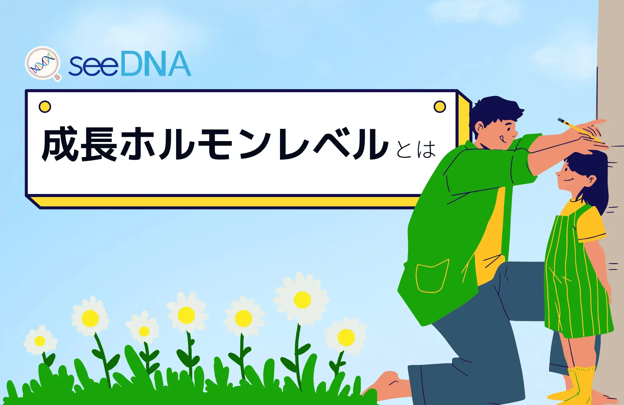 成長ホルモンレベルのイメージ画像
