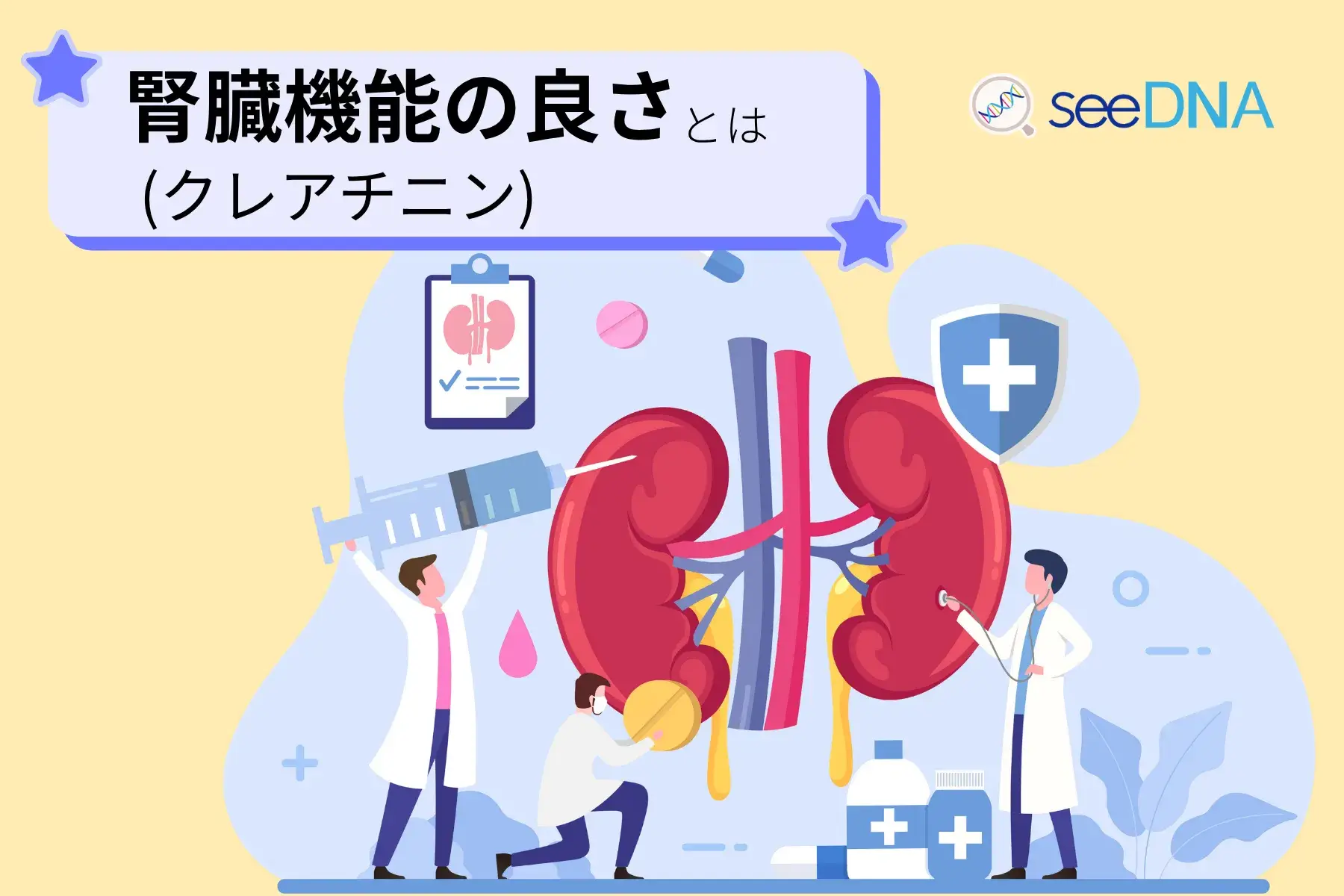 腎臓機能の良さ（クレアチニン）のイメージ画像