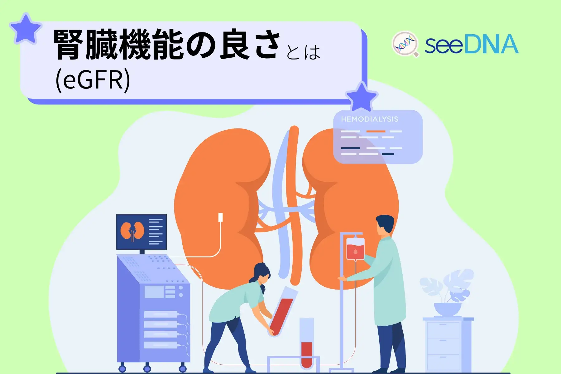 腎臓機能(eGFR)のイメージ画像