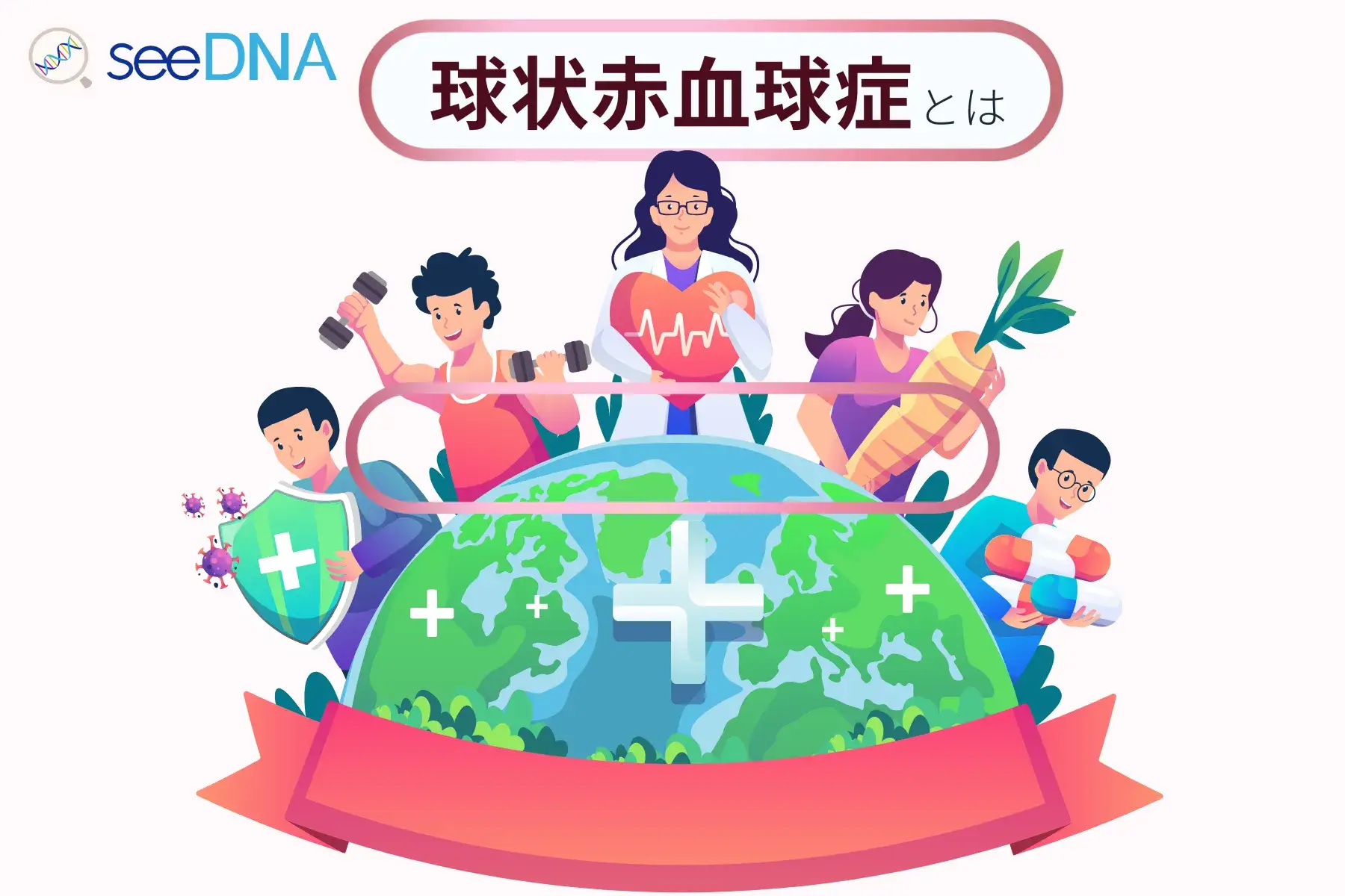 球状赤血球症のイメージ画像