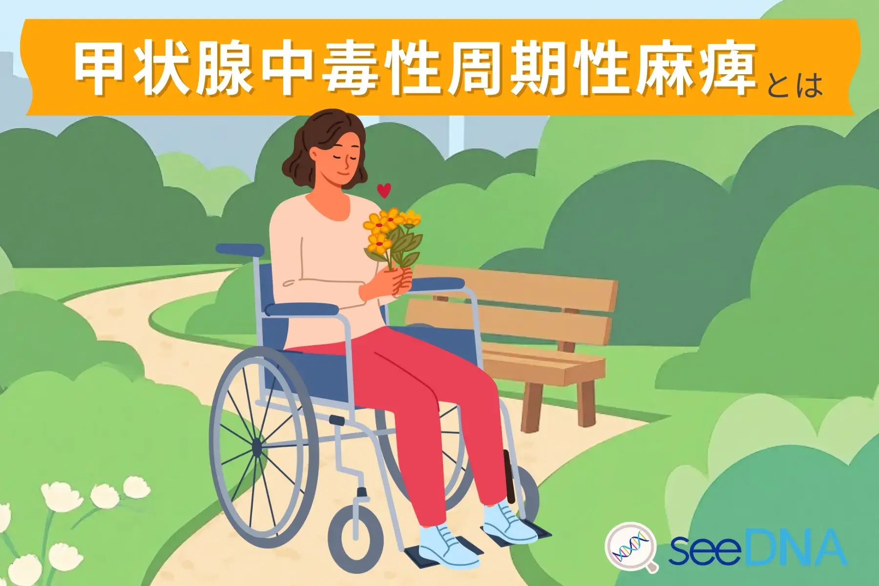 甲状腺中毒性周期性麻痺のイメージ画像