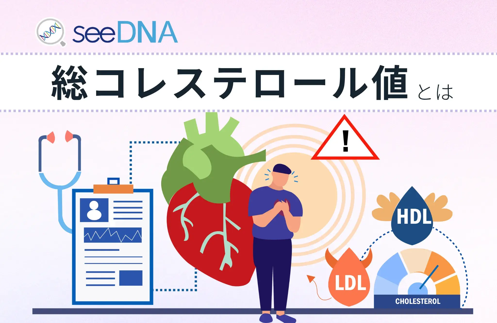 総コレステロール値レベルのイメージ画像
