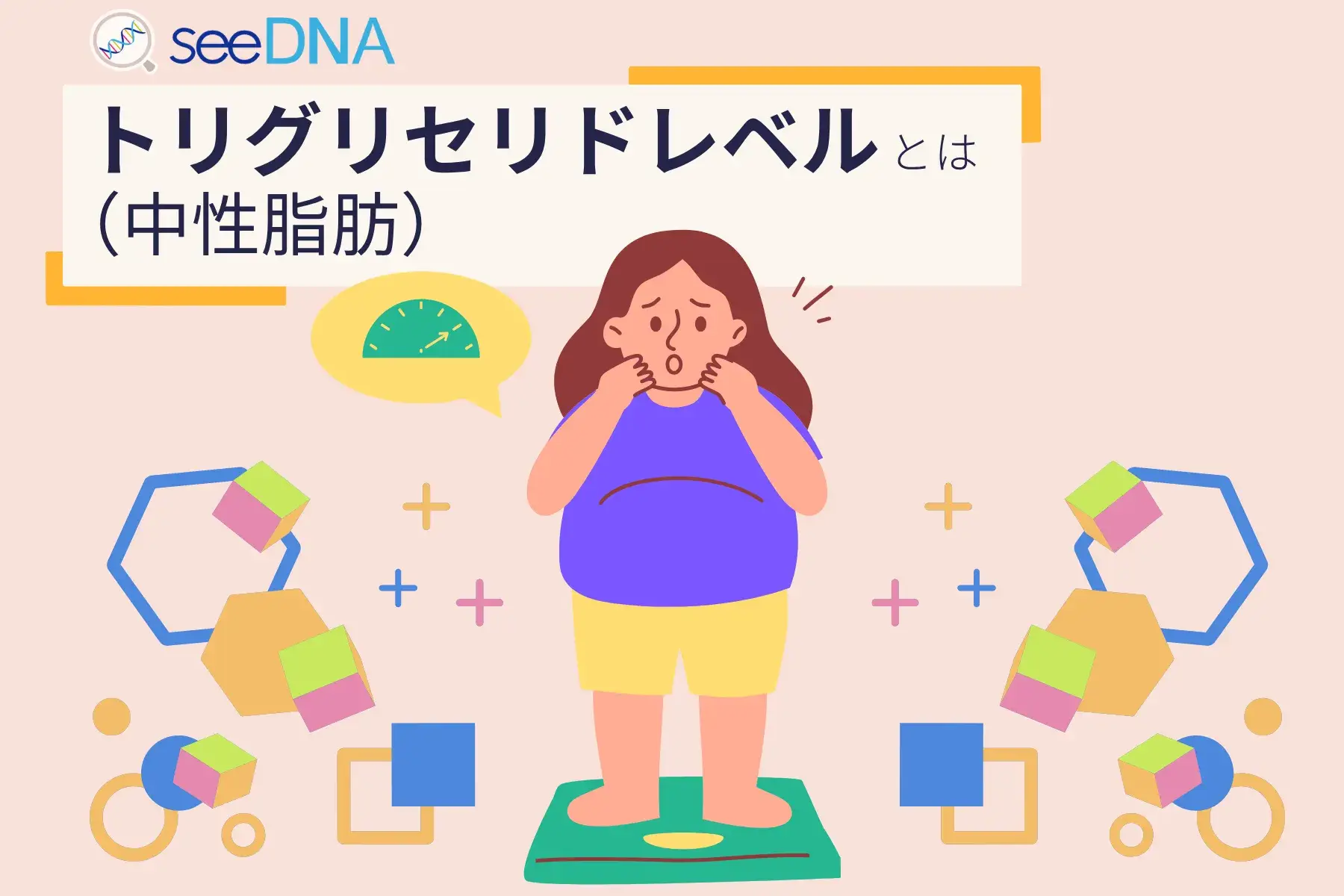 トリグリセリド（中性脂肪）レベルのイメージ画像
