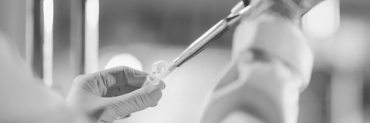 DNA testing providers to watch out for
