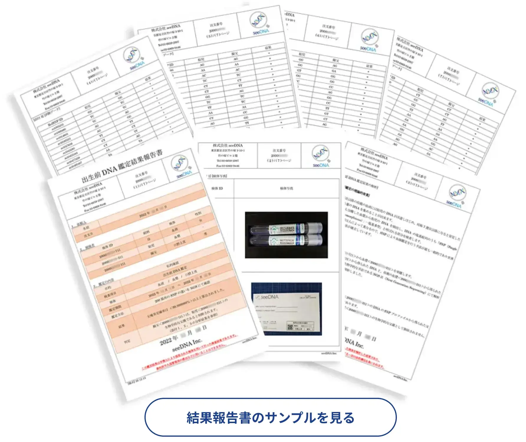 DNA鑑定報告書サンプル
