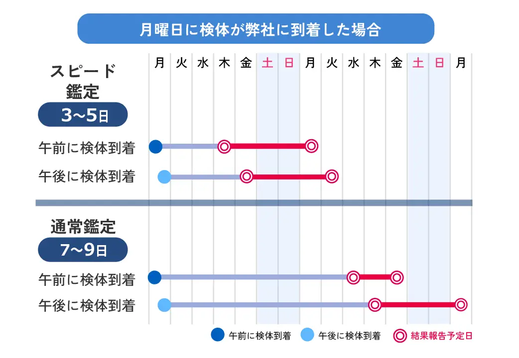 妊娠中の親子DNA鑑定、遺伝子検査の期間