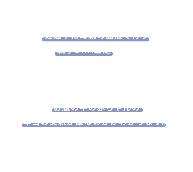 section1 sp