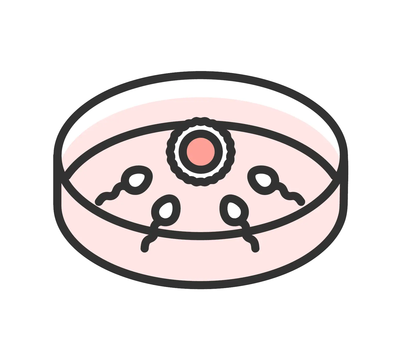 In Vitro Fertilization (IVF)