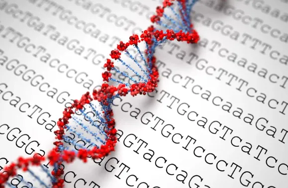 Why is DNA testing so accurate?