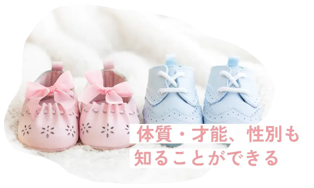 Shoes for babies