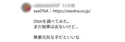 Email from a customer