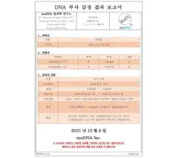 DNA검사결과보고