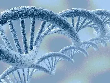 DNA 검사의 진실 이미지