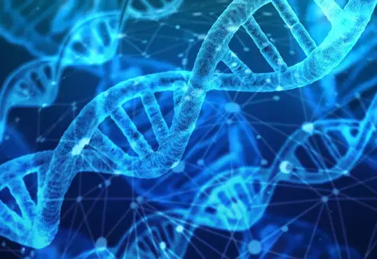 DNA 검사를 가까이에! 가격 개정 알림