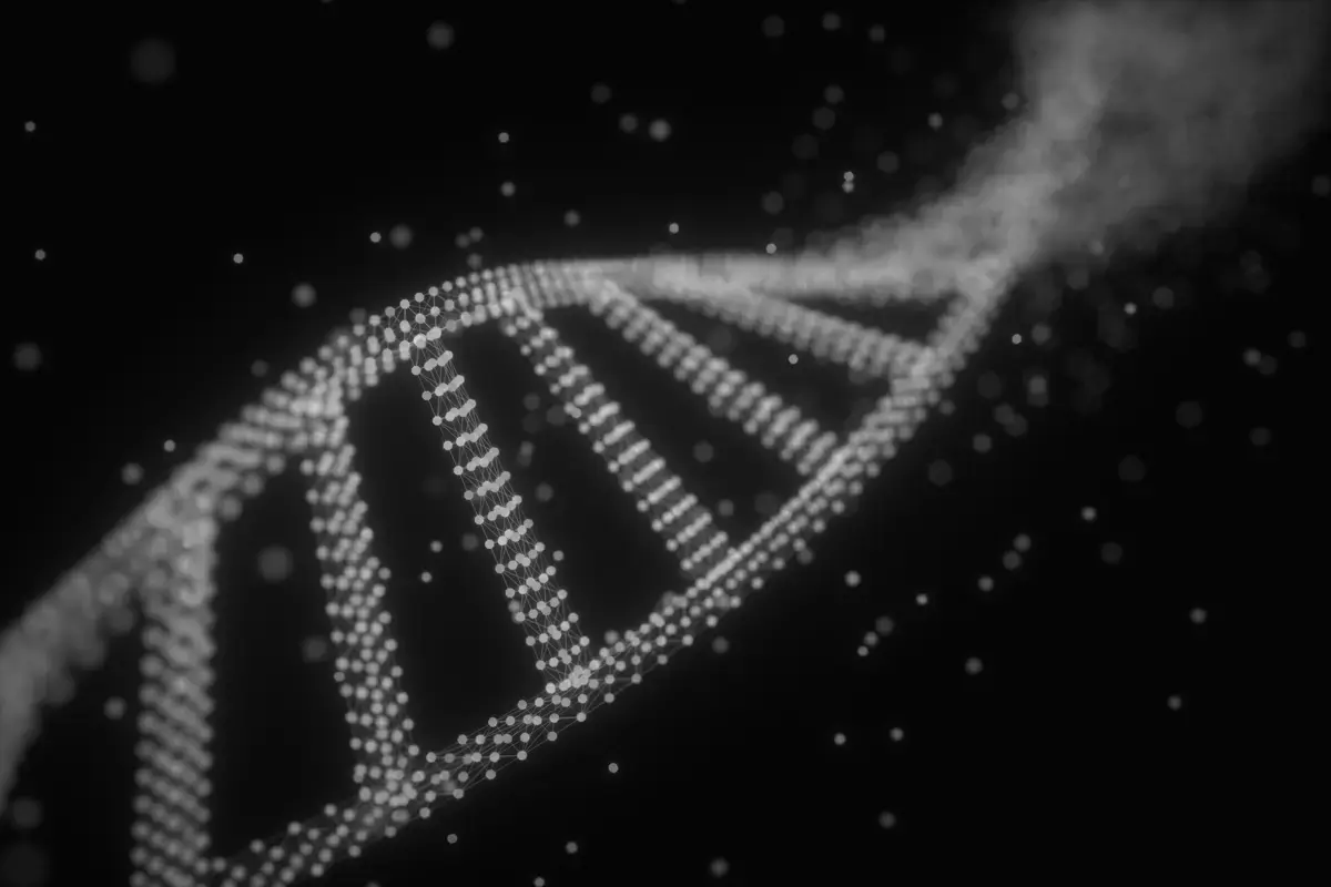DNA 검사 업체의 현황을 나타낸 이미지 DNA 검사 업체의 현황을 나타낸 이미지