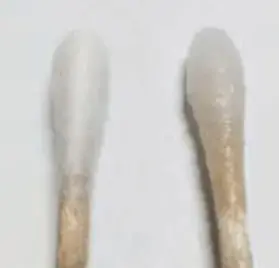 면봉 끝이 다른 물체에 닿지 않도록 주의하면서 면봉을 종이봉투 안에 넣는다.