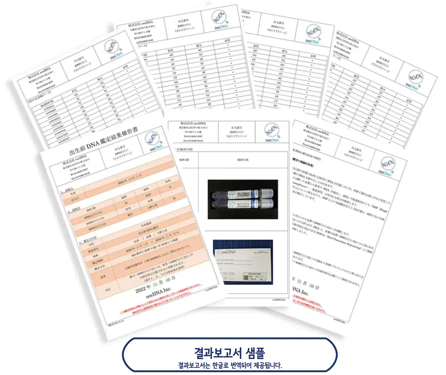DNA 검사 보고서 샘플