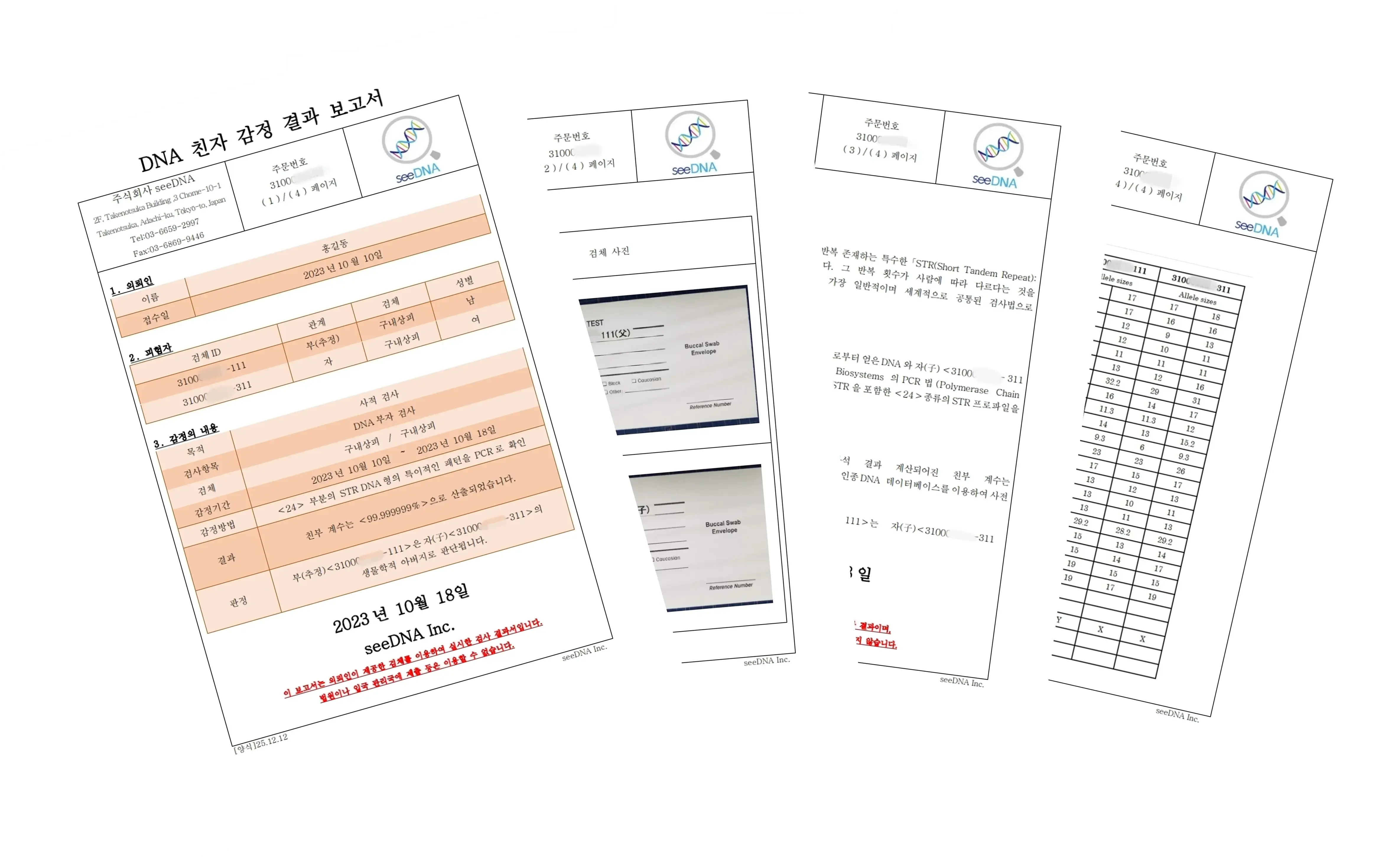 고정밀 친자 DNA 검사 결과 보고서의 예시