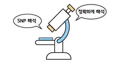 SNP해석