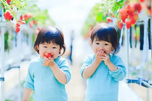 혈연 DNA 검사로 쌍둥이가 일란성인지 이란성인지 가장 정확하게 확인할 수 있습니다