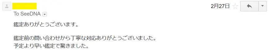お客様からのメール