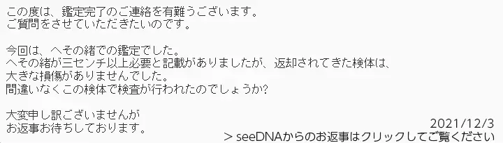 お客様からのメール
