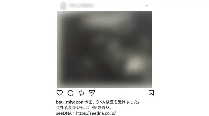 お客様からのメール