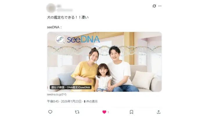 お客様からのメール